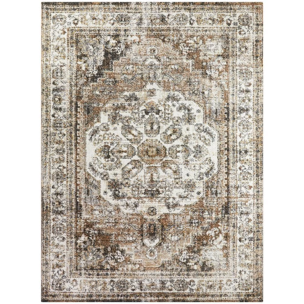 Hess Brown 5 ft. x 7 ft. Vintage Oriental Area Rug by BALTA 3 Hess Brown 5 ft. x 7 ft. Vintage Oriental Area Rug by BALTA