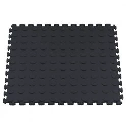 Multi-Purpose Black 18.3 in. x 18.3 in. PVC Garage Flooring Tile with Raised Coin Pattern (6-Pieces) by Norsk