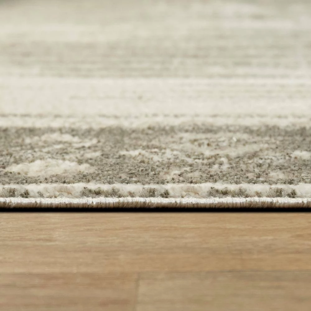 Strauss Taupe 5 ft. x 7 ft. Vintage Oriental Area Rug by BALTA 7 Strauss Taupe 5 ft. x 7 ft. Vintage Oriental Area Rug by BALTA - Image 5